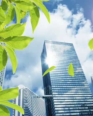 Озеленение территории