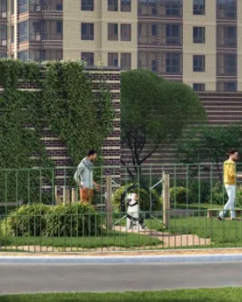 Зона выгула собак