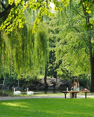 Большие зеленые дворы и аллея с фонтаном