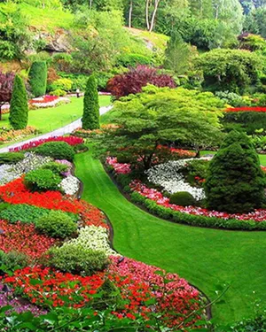 Парк с ландшафтным дизайном