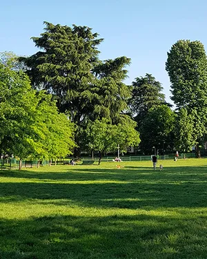 Парк в шаговой доступности
