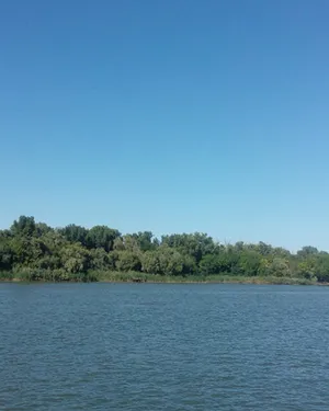 На берегу реки Дон