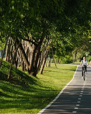 Велодорожка, детские площадки и просторные дворы