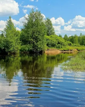 Проект расположен на берегу реки Малый Койсуг