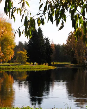 Озеро и роща в пешей доступности