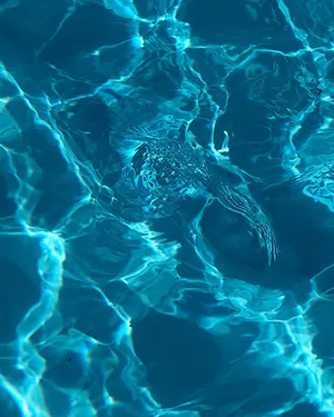 Природный родник на территории комплекса