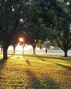Парковая зона с прогулочной зоной вдоль набережной реки Темерник