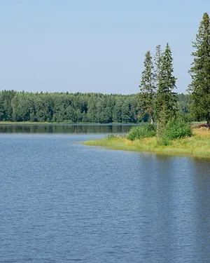 Водохранилище «Ростовское море» в пешей дступности