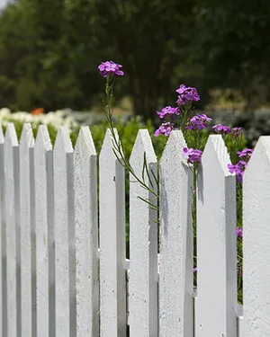 Закрытый двор