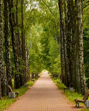 Пешая доступность парков